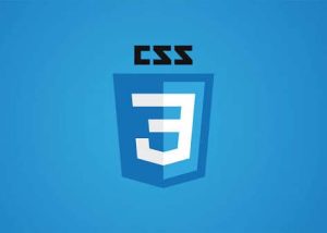 CSS Essentials